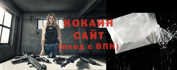 сатива Костерёво
