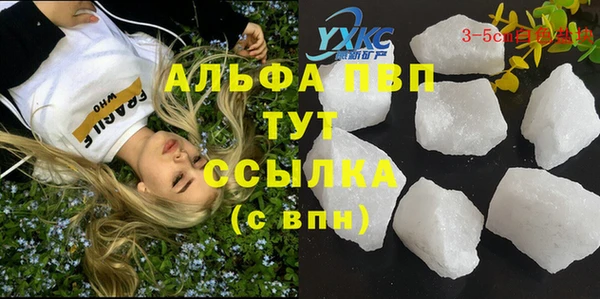 прущие грибы Куйбышев