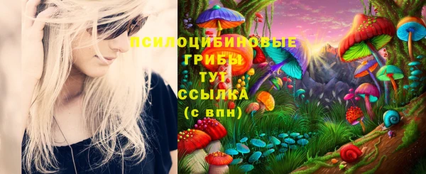 молекула духа Грязи