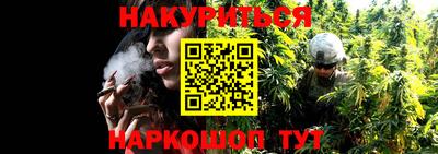 Альфа ПВП Дубна