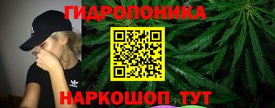 Альфа ПВП Дубна